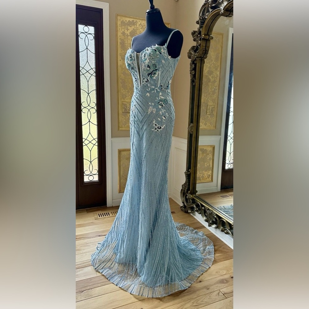 Portia and Scarlett Sky Blue Crystal Embroidered Floral Prom Formal Gown Size 4